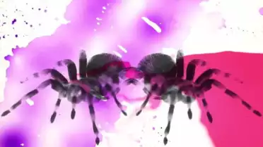 Waving Hands - Cinematic (Sélection Mx3.ch)