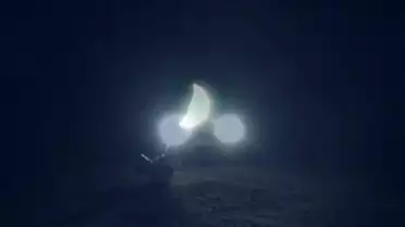 Sons envoutants dans la lueur des phares