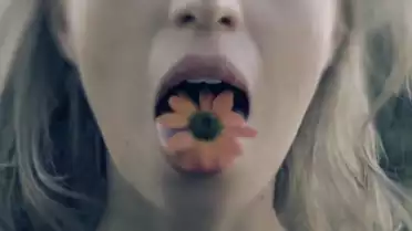 Marc Frischknecht - Common World