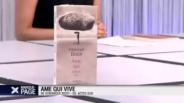 Ame qui vive