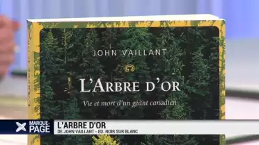 L&#039;arbre d&#039;or