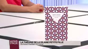 Théorie de la vilaine petite fille