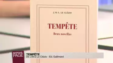 Marque-page - Tempête
