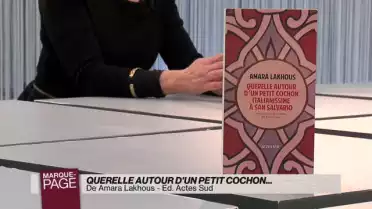 Querelle autour d&#039;un petit cochon italianissime à San Salvario