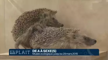 Sexe(s), les musées lausannois se mettent à nu 1/2