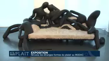 Nirvana: les étranges formes du plaisir