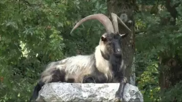 Notre patrimoine agricole en danger