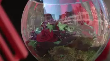 Les roses aussi ont leur festival