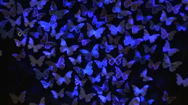 Festival Lausanne Lumières 2015