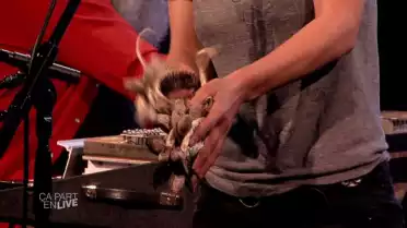 Jibcae part en live !