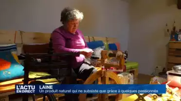 Des passionnés maintiennent la filière de la laine en vie