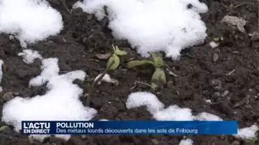 Des métaux lourds découverts dans les sols de Fribourg