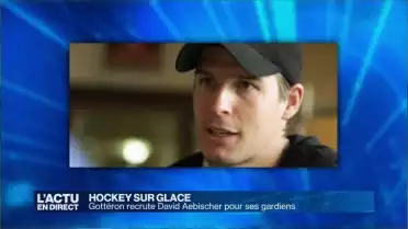 Gottéron recrute David Aebischer pour ses gardiens