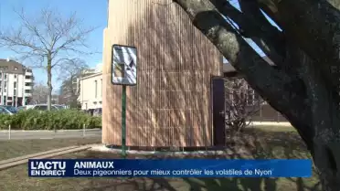 Deux pigeonniers pour Nyon