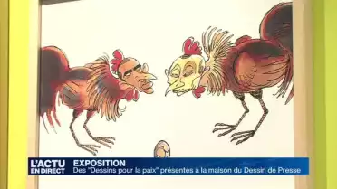 &quot;Dessins pour la paix&quot; à la maison du Dessin de Presse