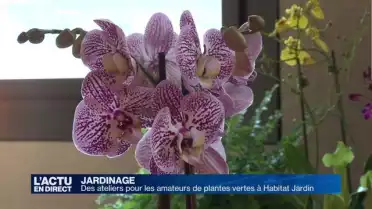Trucs et astuces pour avoir la main verte