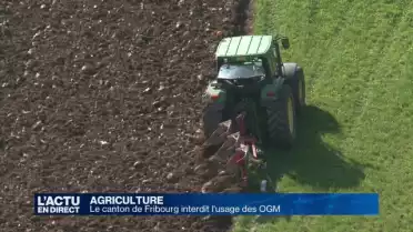 Fribourg est fermement opposé aux OGM