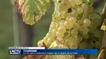 L&#039;oenotourisme au coeur des discussions