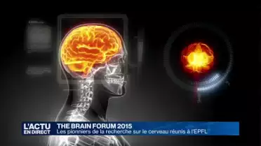 Les pionniers de la recherche sur le cerveau réunis à l&#039;EPFL