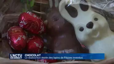 Le destin des lapins de Pâques invendus