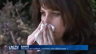 Allergies aux pollens: comment s&#039;en débarrasser ?
