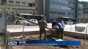 Un quatrième arbre de la Liberté à Nyon