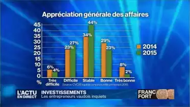 Le franc fort pèse sur les investissements