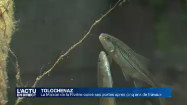 La Maison de la rivière ouvre ses portes à Tolochenaz