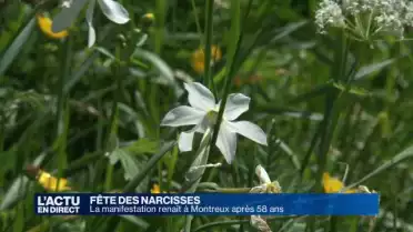 La fête des narcisses refleurit à Montreux