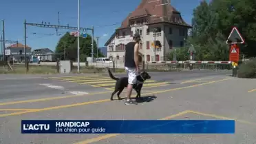 Un chien pour guide