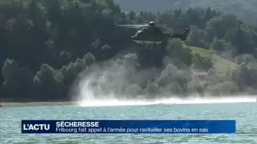 L&#039;eau du lac de Gruyère pour les vaches fribourgoises