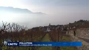 La baignade interdite à Rivaz