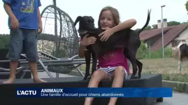 Des familles d&#039;accueil pour les animaux abandonnés