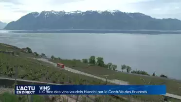 L'Office des vins vaudois lavé de tout soupçon