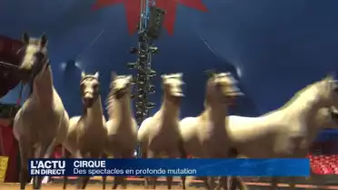 Le cirque, un art millénaire en profonde mutation