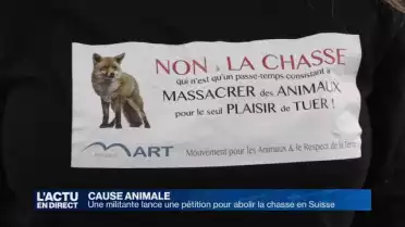 Une pétition pour abolir la chasse en Suisse