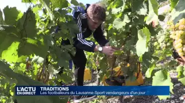 Les footballeurs du Lausanne-Sport vendangeurs d&#039;un jour
