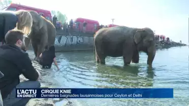 Dernières baignades lausannoises pour Ceylon et Delhi