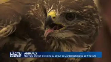 Une nouvelle station de soins pour les petits animaux (FR)