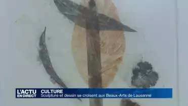 Les regards se croisent autour de l&#039;artiste Giuseppe Penone