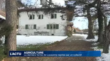Un collectif à la ferme