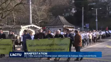 Dix mille paysans dénoncent la baisse des subventions