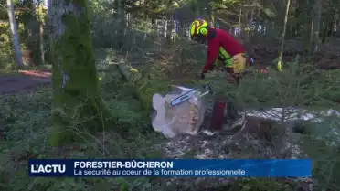 La sécurité au coeur des cours donnés aux futurs bûcherons