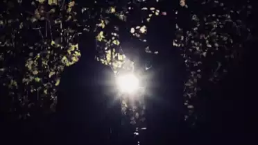 ARKA DIVE - She Can Talk