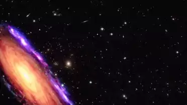 Un clip décalé pour un titre entraînant