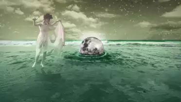 Herr Bitter - No need