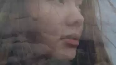 Fly - Colour Of Rice