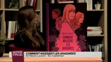 Comment naissent les araignées