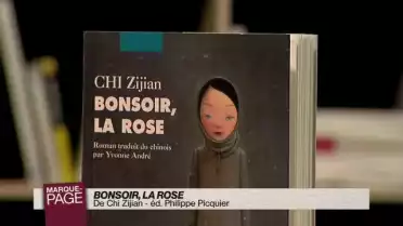 Bonsoir, la rose