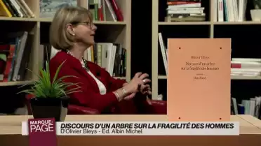 Discours d&#039;un arbre sur la fragilité des hommes